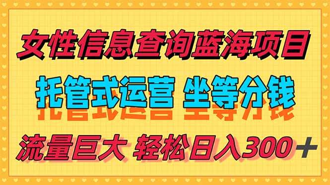 (6.26)稳定日入300＋，小众信息查询蓝海项目，全程懒人式托管，解放你的时间