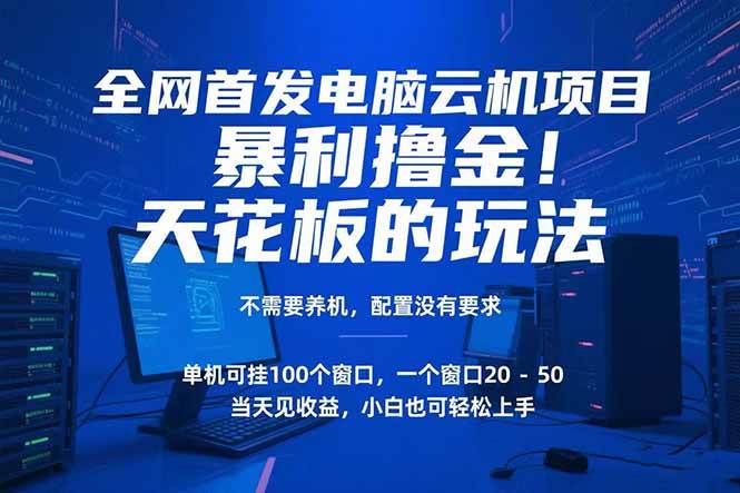 (7.9)电脑云机项目 暴力撸金玩法，不需要养机 配置没有要求 单机100个窗口一