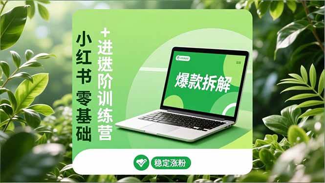 (12.10)小红书零基础+高阶训练营：安全养号、爆款拆解、长效运营，实现稳定涨粉与变现